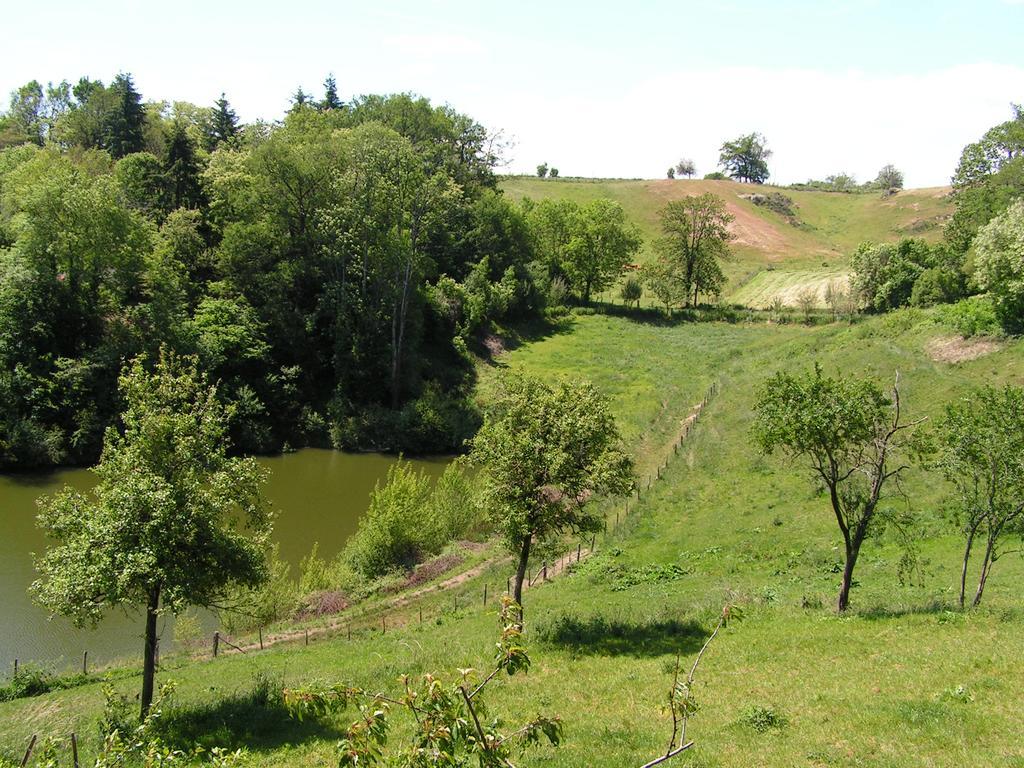 Gite De Carbonies Saint-Félix-de-Lunel Kültér fotó